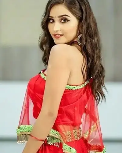 Escort In Venkatagiri